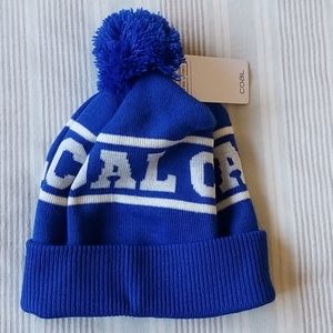NWT Coal Team Athletic Stripe Pom Beanie